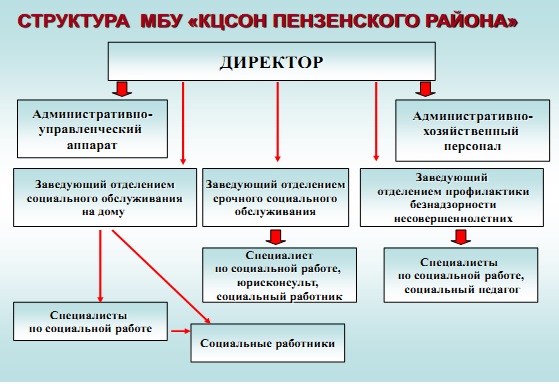 Структура организации