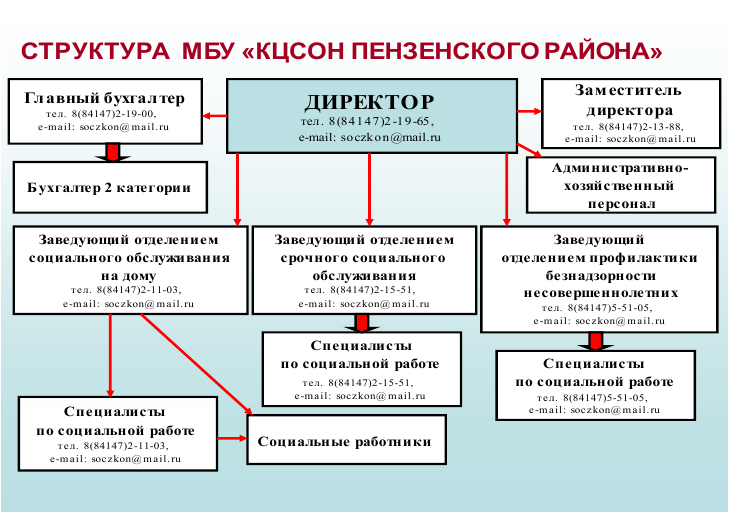 Структура организации